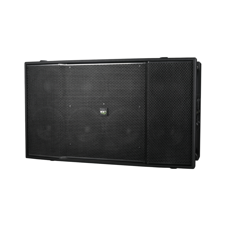 Enceinte KV2 Audio VHD8.10 Low Mid